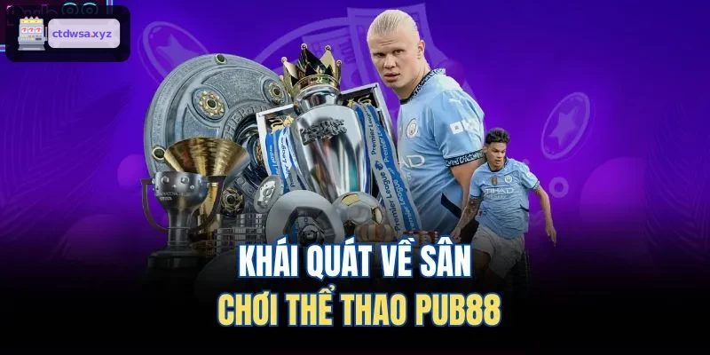 Khái quát về sân chơi thể thao XX88